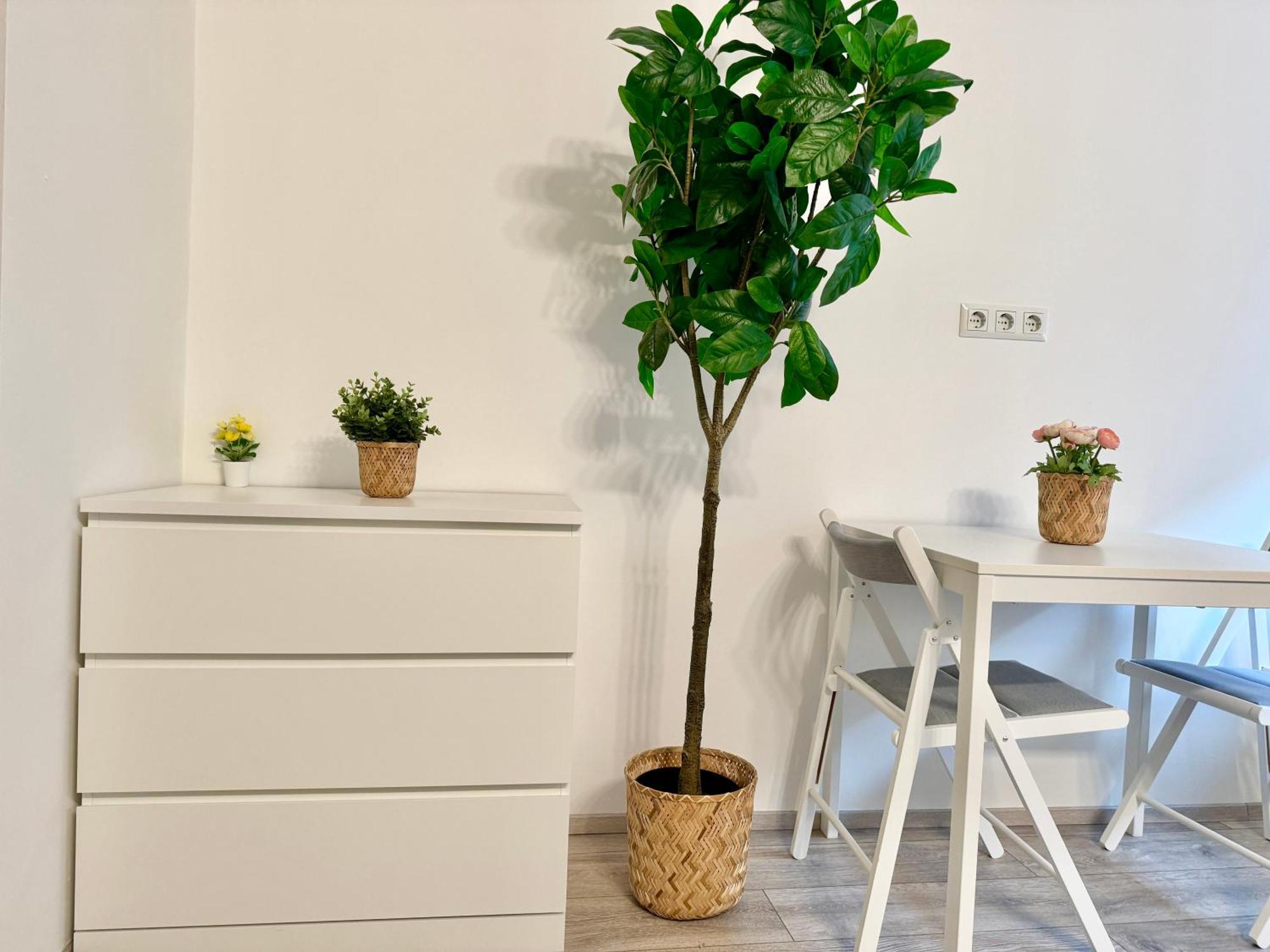 Stylish Schonbrunn Apartments With Free Parking 비엔나 외부 사진